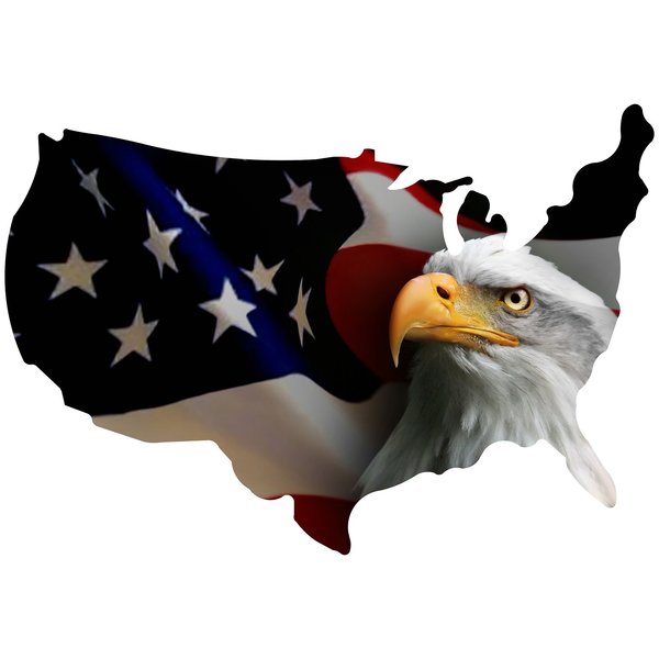 Next Innovations USA Shape Eagle Flag Wall Art 101409024-EAGLEFLAG